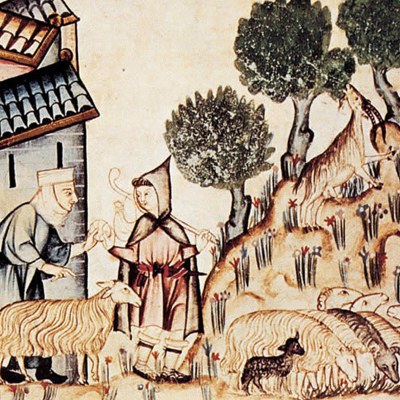 Altres Activitats Conferència: La ramaderia als inicis de la Catalunya medieval. Perspectiva des dels estudis arqueozoològics.