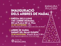 Encesa dels llums i de l'arbre de Nadal de la plaça de la Vila