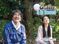 ESTIU A LA FRESCA - CINEMA: Perfect Days