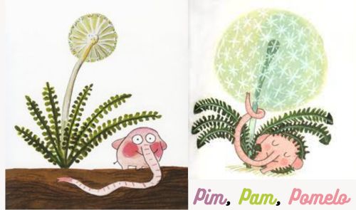 Pim pam pomelo BIBVIRTUAL.jpg