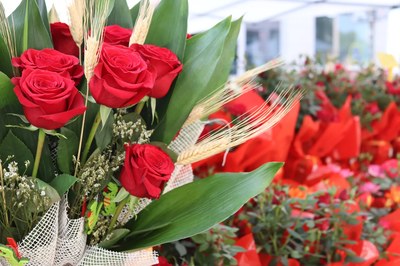 IMG_20230423_110702_462.jpg.