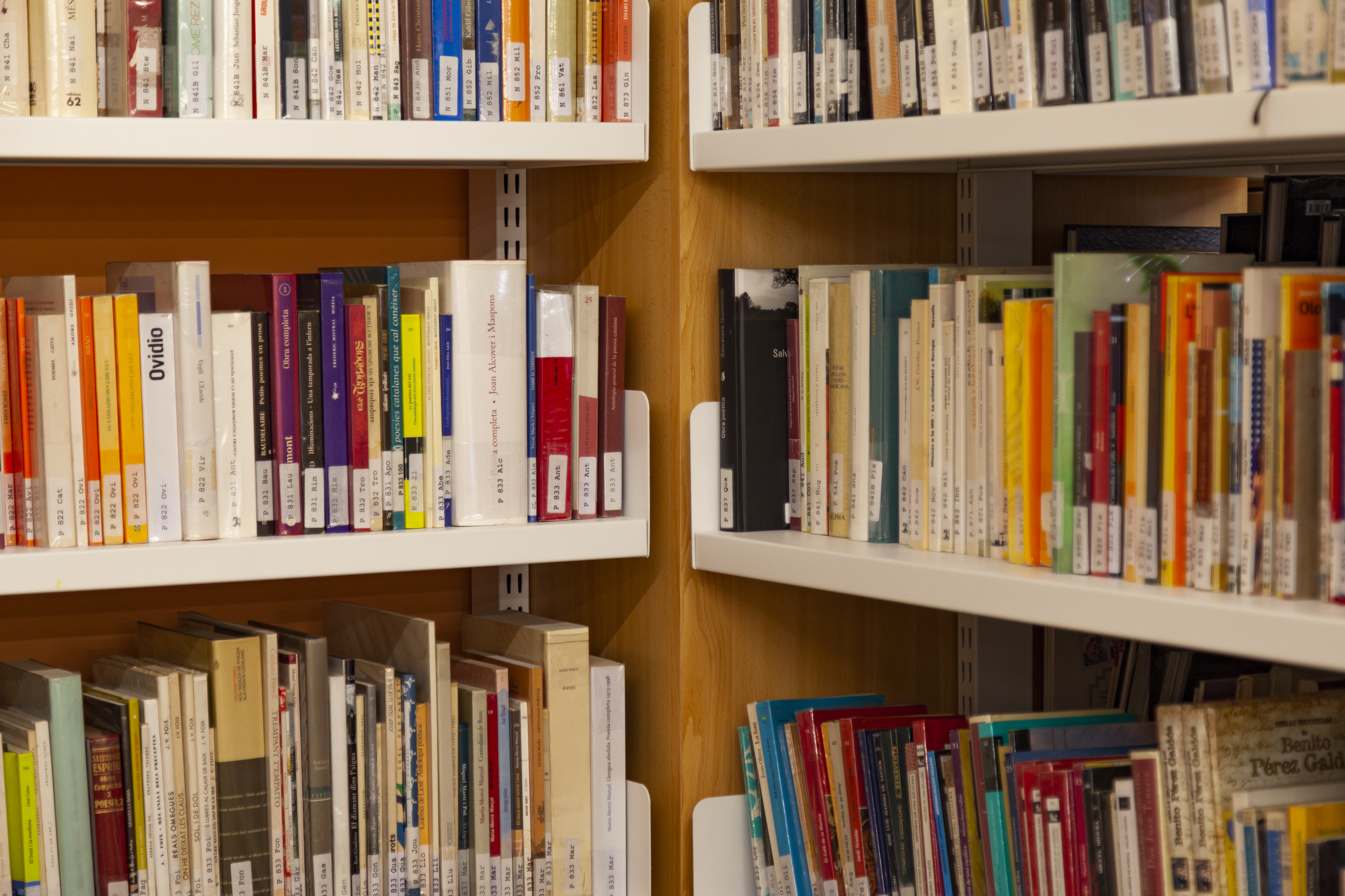 Biblioteca Pomar. Llibres.jpg