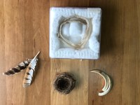 Els rastres del bosc (autoguiada, amb opció de monitoratge)