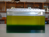 Variacions estacionals al Mediterrani