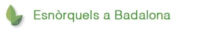 Esnòrquels a Badalona