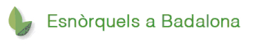 Esnòrquels a Badalona