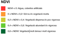 Cobertura vegetal