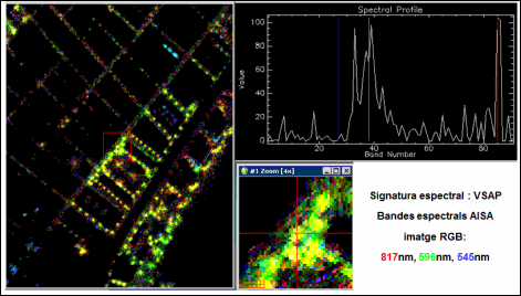 Contaminació lumínica