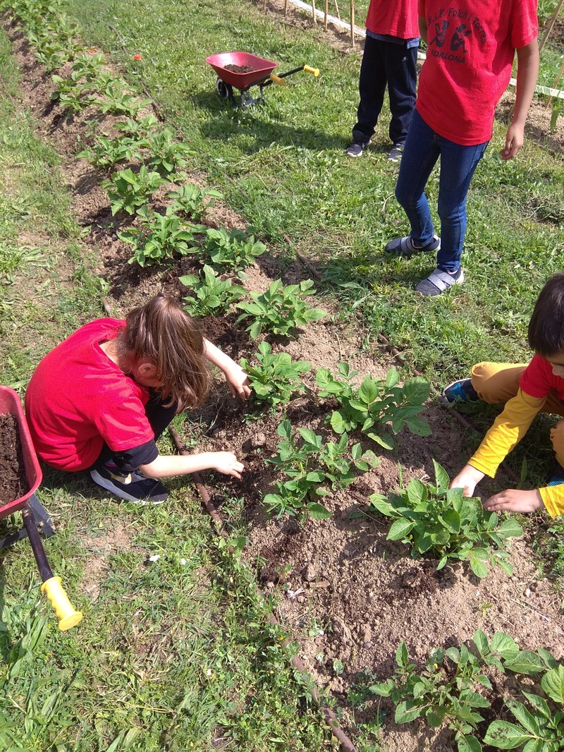 Hort Escola de Natura