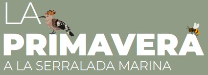 La Primavera a la Serralada de Marina