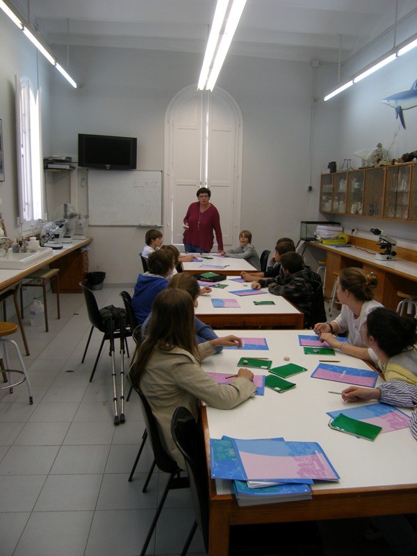 Laboratori 1