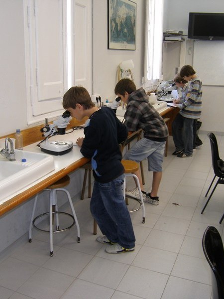 Laboratori 2