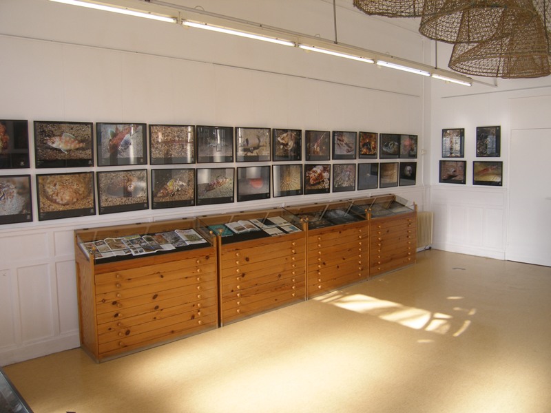 Sala d'exposicions