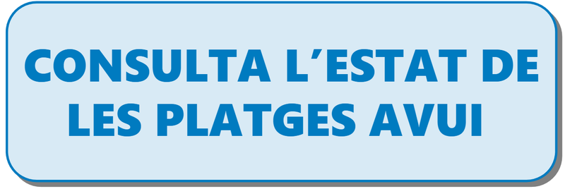 Consulta l'Estat de les Platges avui.PNG