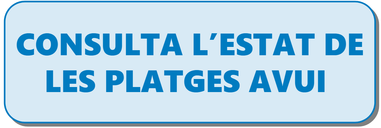 Consulta l'Estat de les Platges avui.PNG