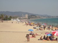 Platja Pont d'en Botifarreta.jpg