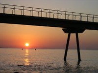 Pont del Petroli 1.jpg