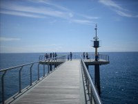 Pont del Petroli - plataforma.jpg