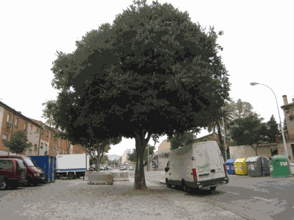 Lledoners del c_ Independència_Edith Piaf.gif