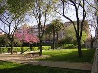 Parc Torrents i Lladó