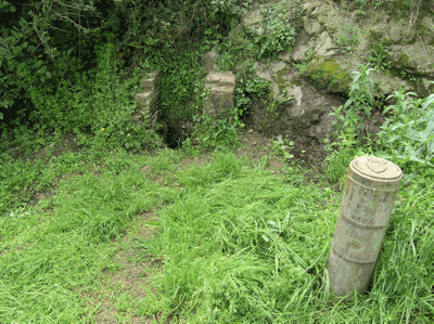 Vegetació de ribera.gif.