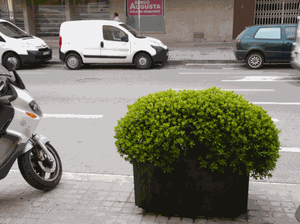 Jardinera 4.gif