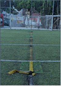 Bases tècniques de la substitució de la gespa CF LLOREDA