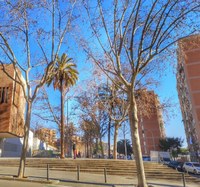 Millora d''accessibilitat cruïlla c/ Àsia-Berlín