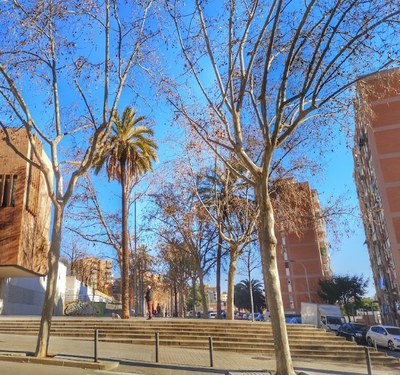 Millora d''accessibilitat cruïlla c/ Àsia-Berlín.