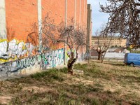 Projecte passatge Fortuny