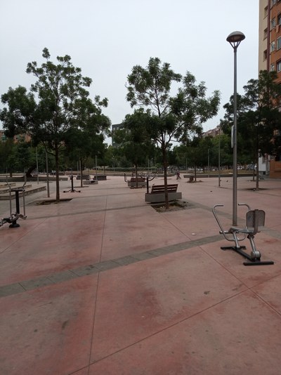 IMG_20230620_134106.jpg.