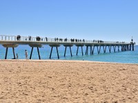 Pont del Petroli. Foto: J. Domingo