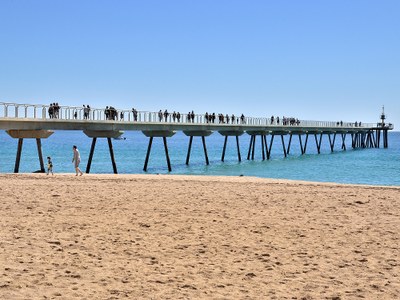 Pont del Petroli. Foto: J. Domingo.