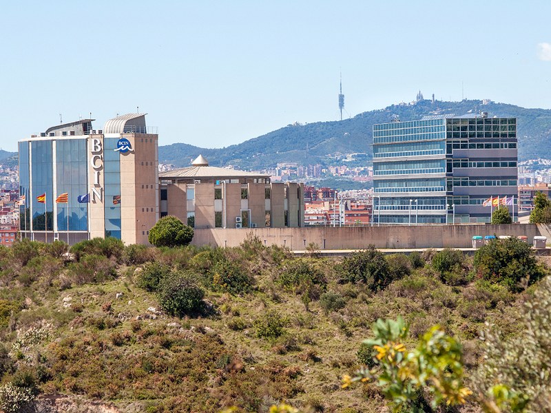 Vistes del BCIN