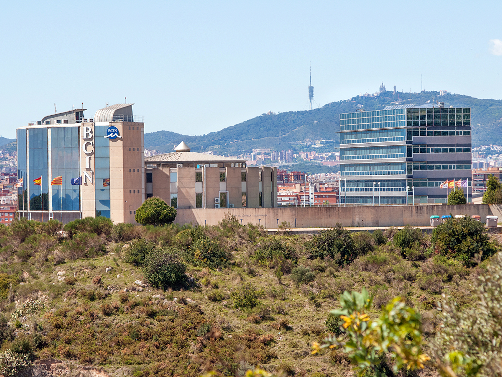 Vistes del BCIN