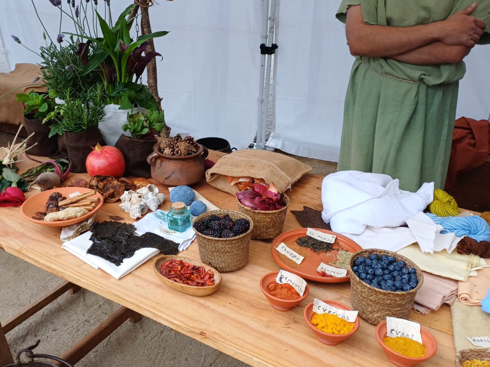 XIX Magna Celebratio