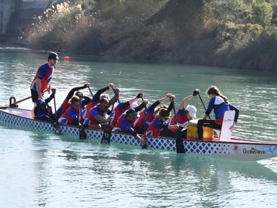 Barna Dracs Dragon Boat Team.