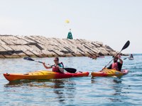 Activitats nàutiques al Port