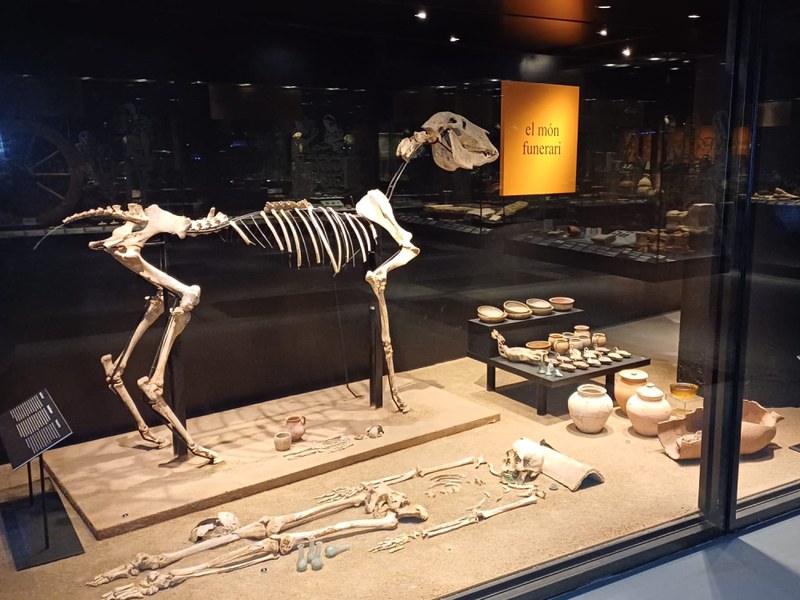 Museu de Badalona. Restes arqueològiques de Baetulo