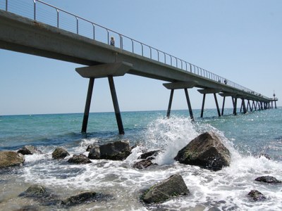 El pont del Petroli.