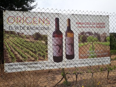 Visites a Can Coll (i els seus vins Orígens).