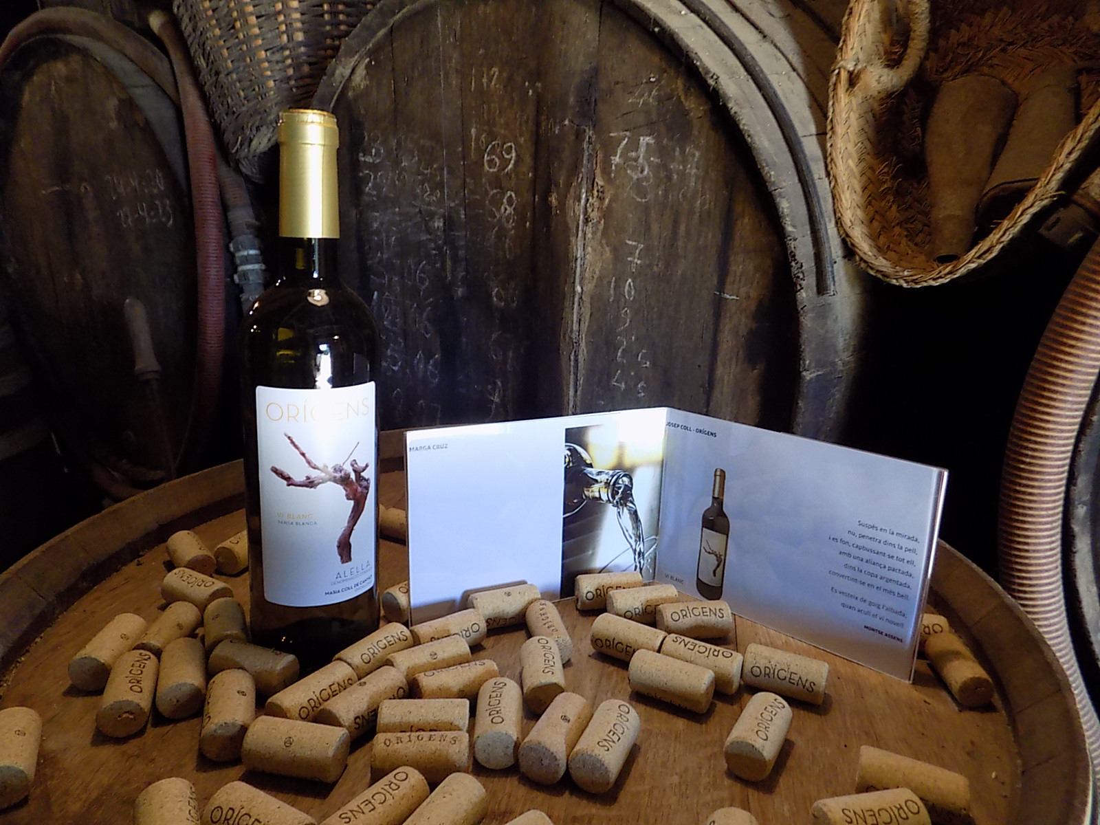 Enoturisme / Imatge @webtravelcat