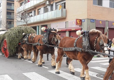 <bound method DexterityContent.Title of <Event at /fs-badalona/badalona/ca/serveis-ajuntament/turisme/que-fer-i-que-veure/esdeveniments/149a-passada-de-sant-antoni>>.