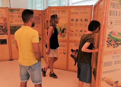 Exposició al vestíbul de l'oficina de Turisme de Badalona.