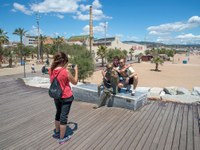 El mico de l'Anís del Mono