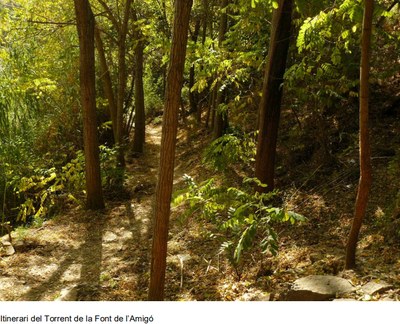 itinerari_font-amigo.jpg.