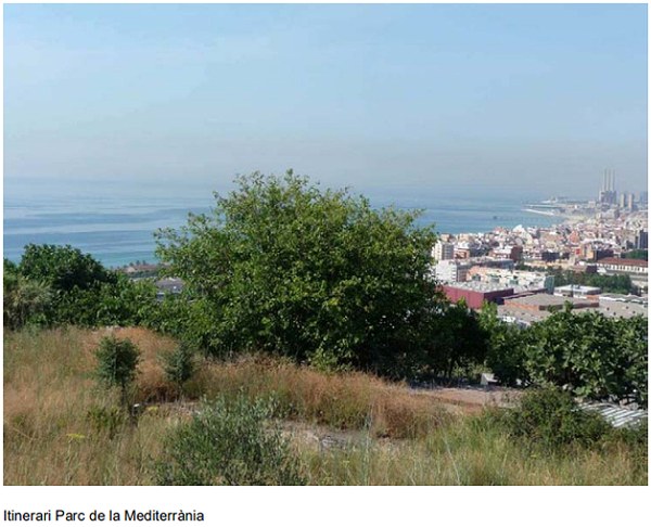 Itinerari Parc de la Mediterrània