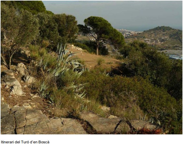 itinerari_turo-bosca.jpg