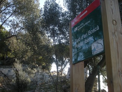 Poblat ibèric Turó d'en Boscà.