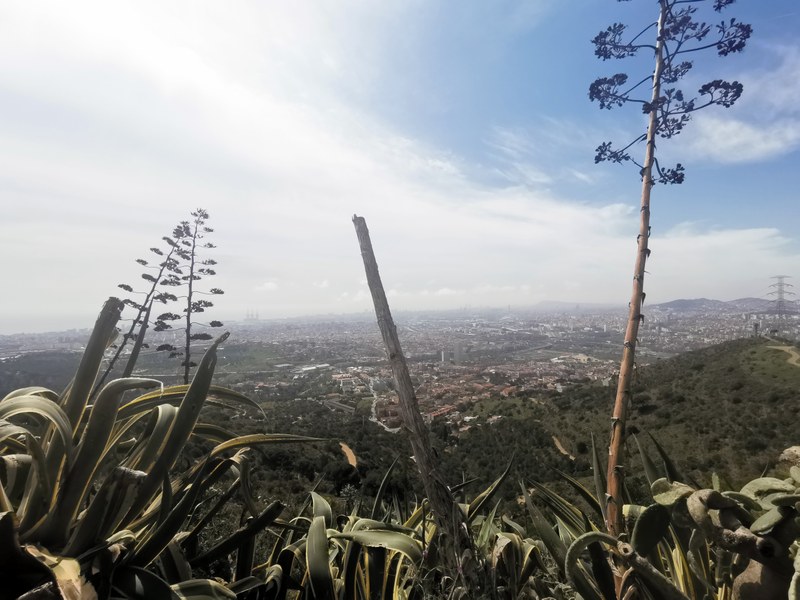 Panoràmica de Badalona